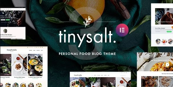 TinySalt Personal Food Blog WordPress Theme Review